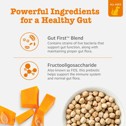 Probiotic Bites Pumpkin Flavor Dog Supplement, 90 Count