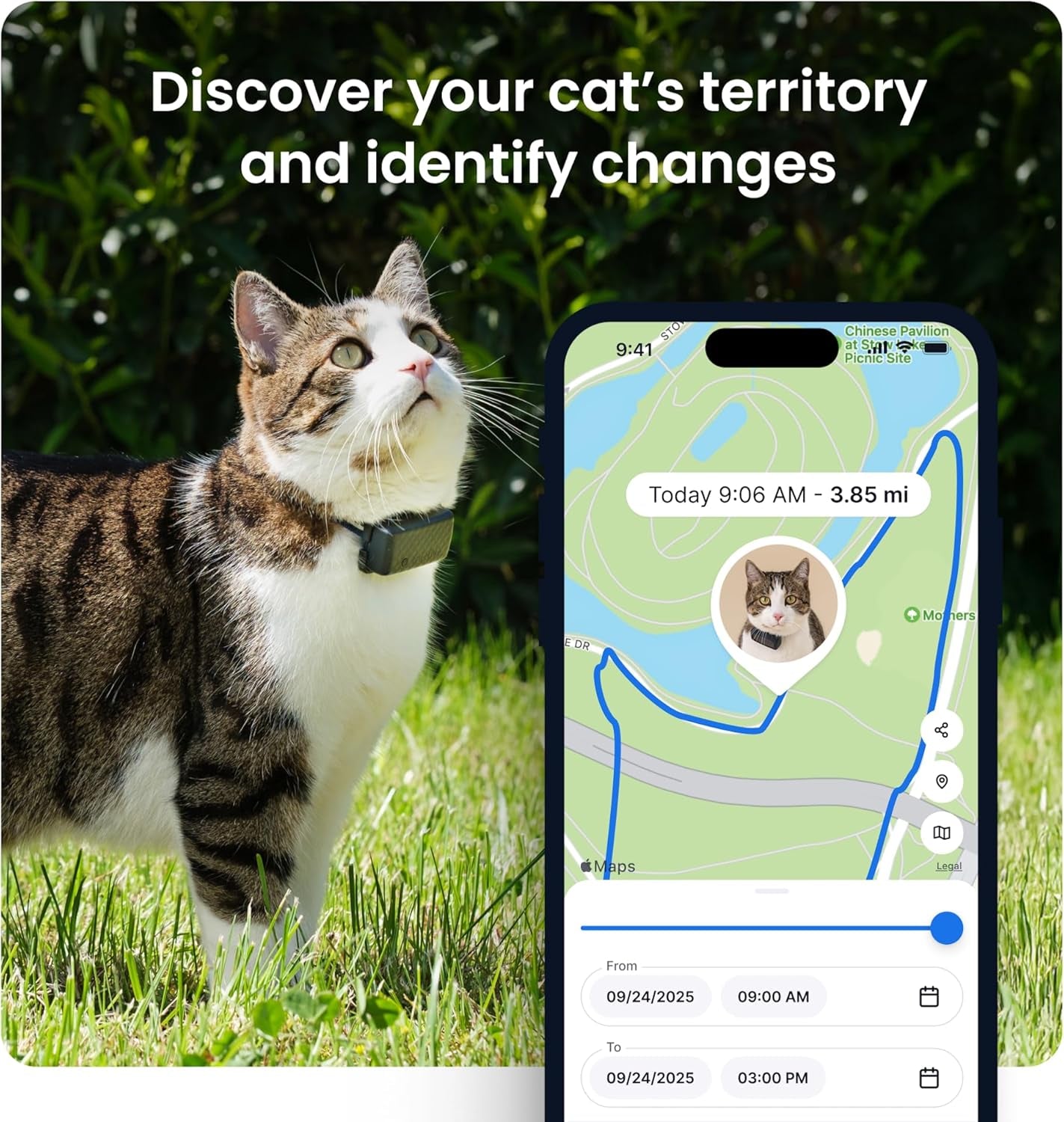 XL Smart Dog GPS Tracker | Live Pet Tracker with Virtual Fence | Vital Signs Monitoring of Heart & Respiratory Rate | up to 1-Month Battery Life | Dog Collar Attachment (Green)