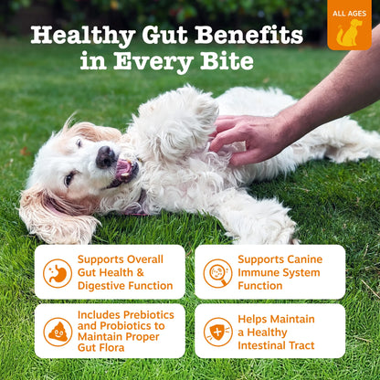 Probiotic Bites Pumpkin Flavor Dog Supplement, 90 Count